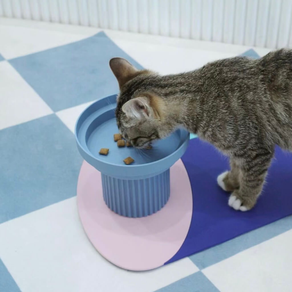 Cat eating from the Purrre Teeth Party Pet Bowl - Airy Blue.