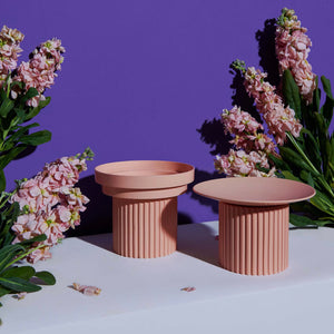 Stylish coral Purrre Teeth Party Pet Bowl with ribbed design, surrounded by pink flowers, enhancing its modern aesthetic.
