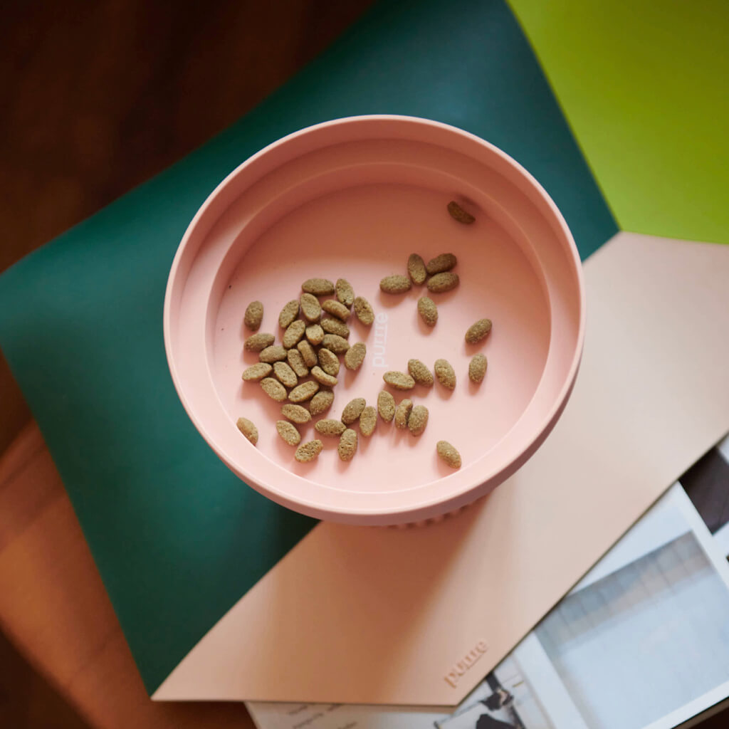 Top view of the Purrre Teeth Party Pet Bowl filled with cat kibble, placed on a stylish kitchen surface, reflecting elegance and practicality.