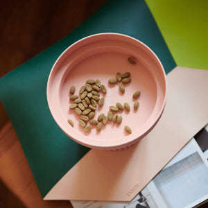 Top view of the Purrre Teeth Party Pet Bowl filled with cat kibble, placed on a stylish kitchen surface, reflecting elegance and practicality.