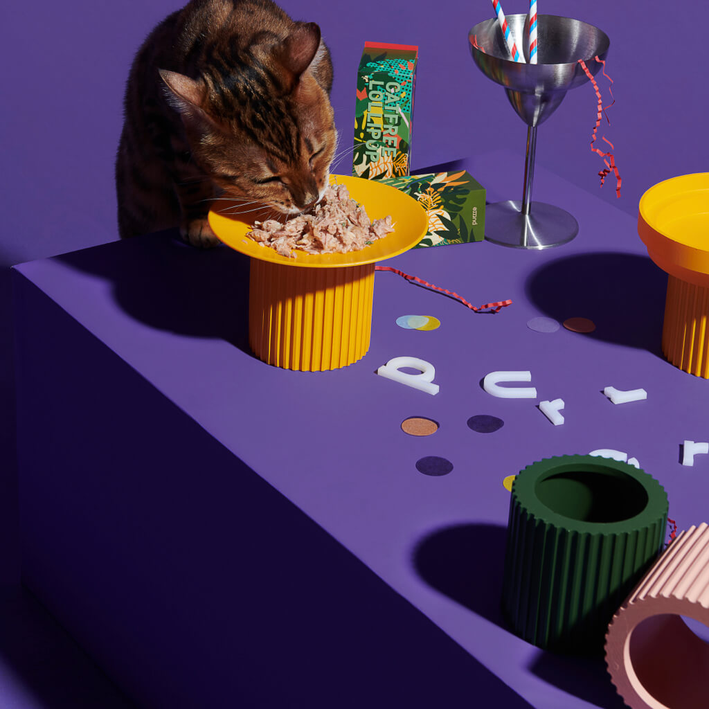 Cat enjoying a meal from the ergonomic Purrre Sunset Yellow Teeth Party Pet Bowl.