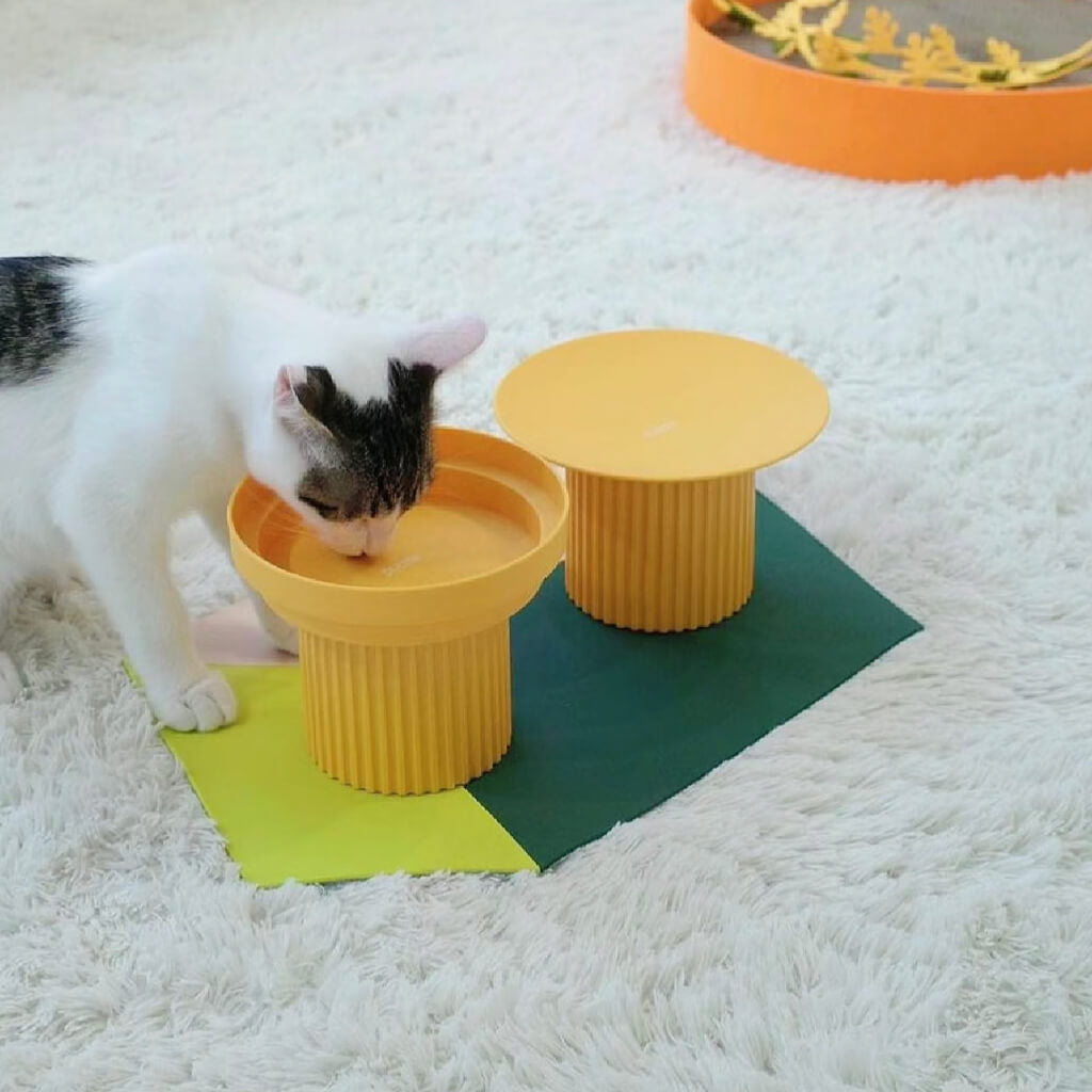 Cat drinking from the Purrre raised Sunset Yellow pet bowl on a green and yellow mat.