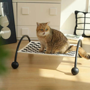 Golden brown cat perched on a black Memphis style elevated hammock in a sunlit room.