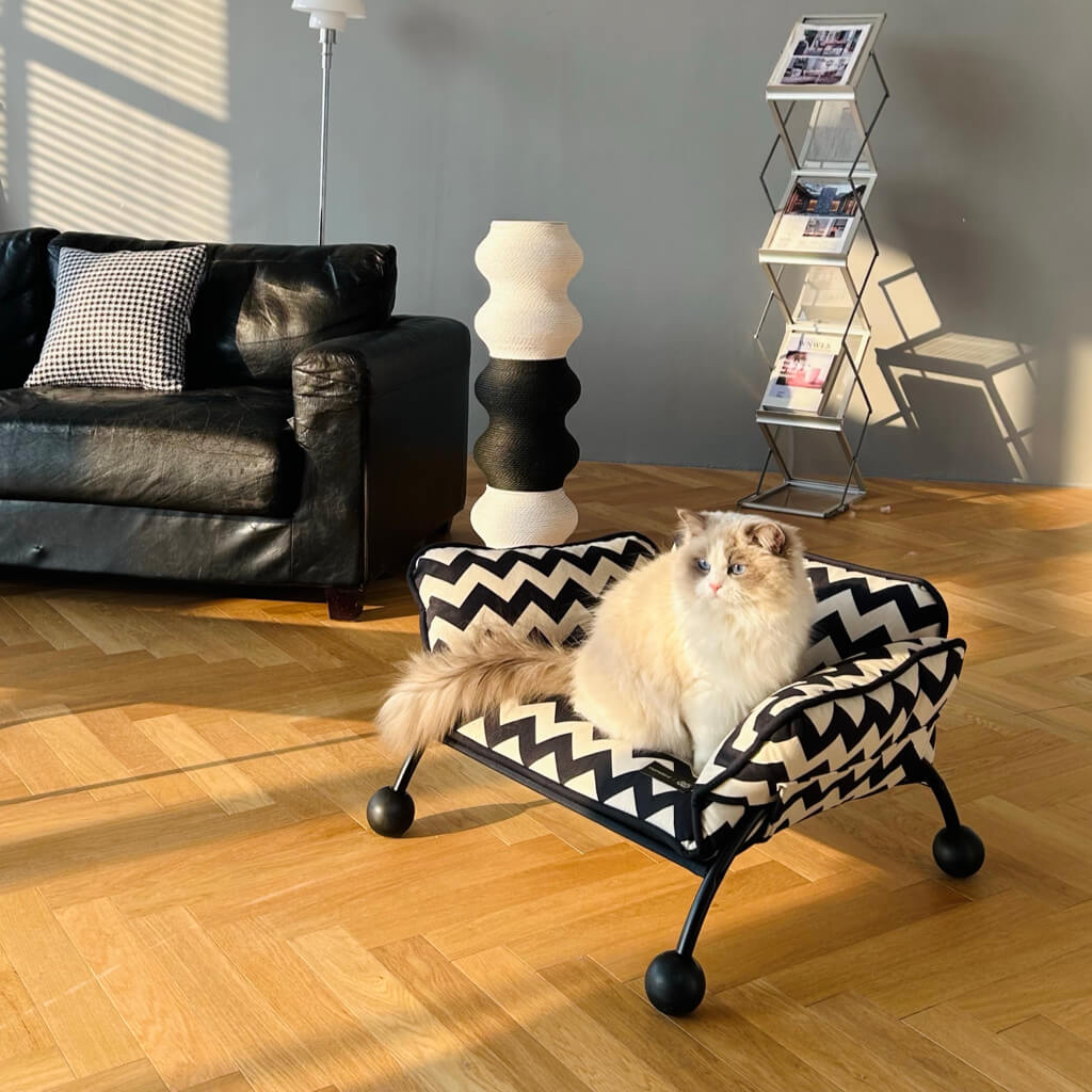 A fluffy Ragdoll cat enjoying a chic pet lounger, blending seamlessly into a modern home aesthetic.