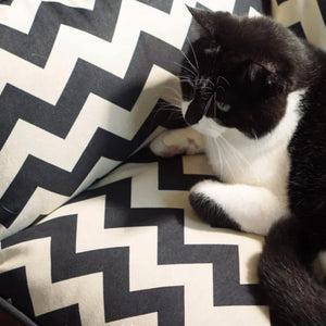 A close-up of a plush chevron pet cushion, showing premium fabric, soft padding, and anti-scratch durability.