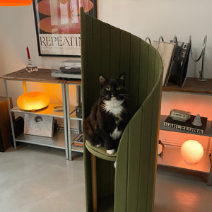 Close-up of a cat relaxing in the Time Travel Tower Cat Tree - Pine Green, showcasing its contemporary design and cat-friendly comfort.