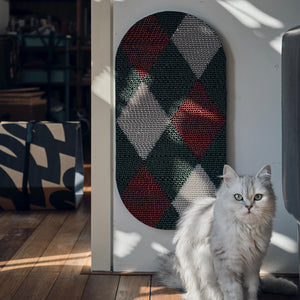 Cat sitting next to wall-mounted Checker cat scratcher with a red, green, and white pattern.