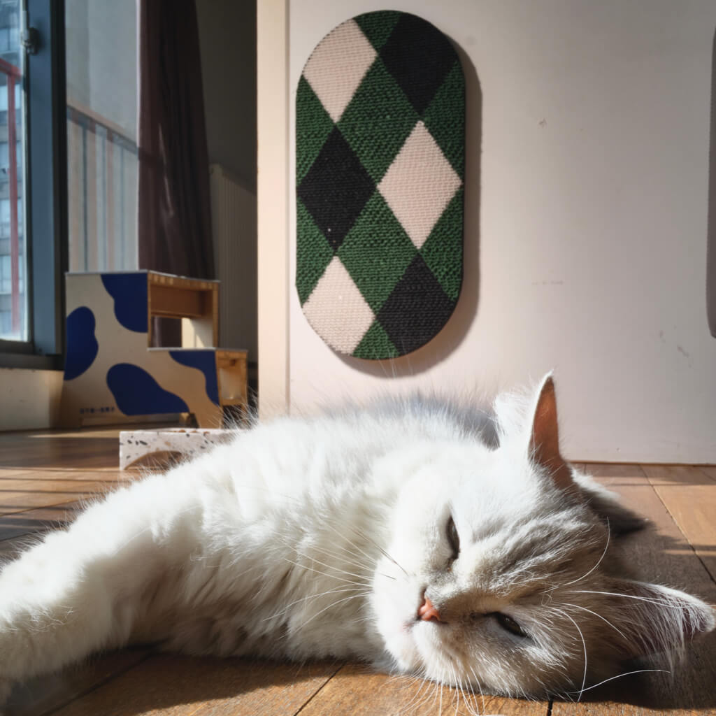Cat lying in front of Checker cat scratcher mounted on the wall with green and black diamond pattern.