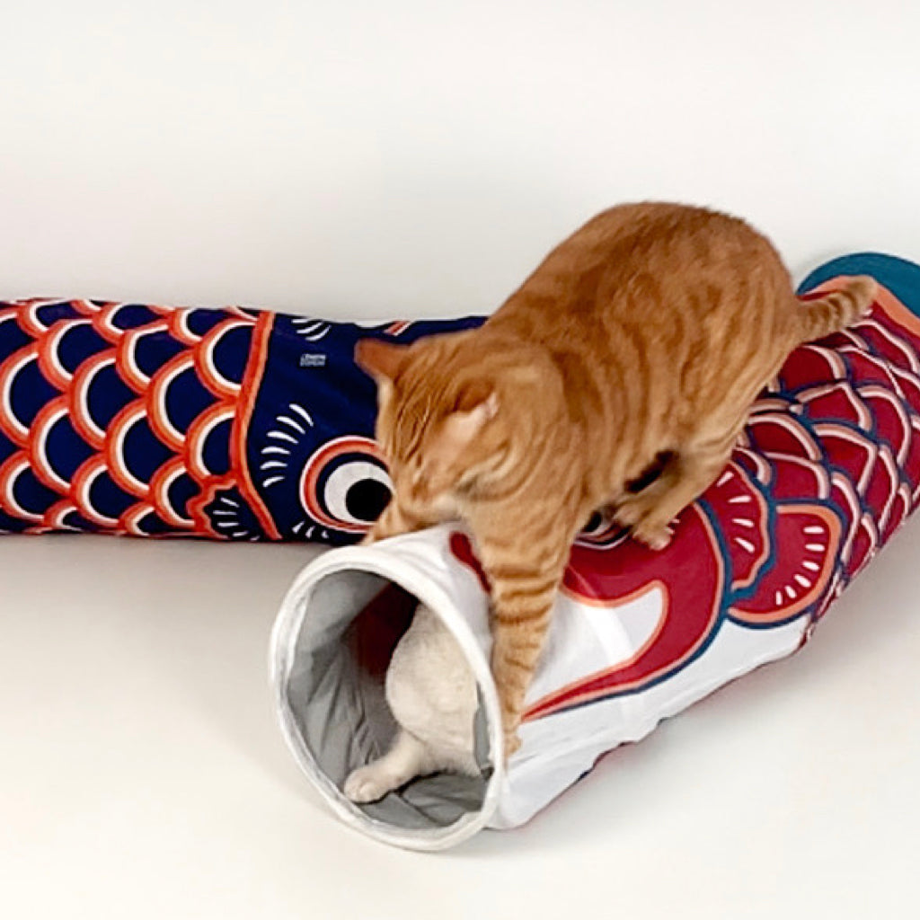 Koi-Fish Self-entertainment Cat Tunnel - L95cm