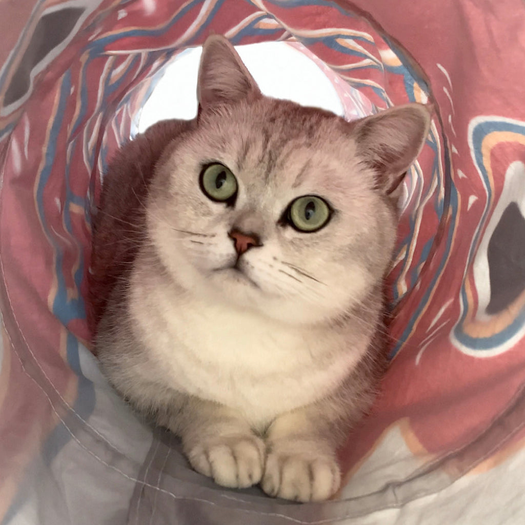 Koi-Fish Self-entertainment Cat Tunnel - L95cm
