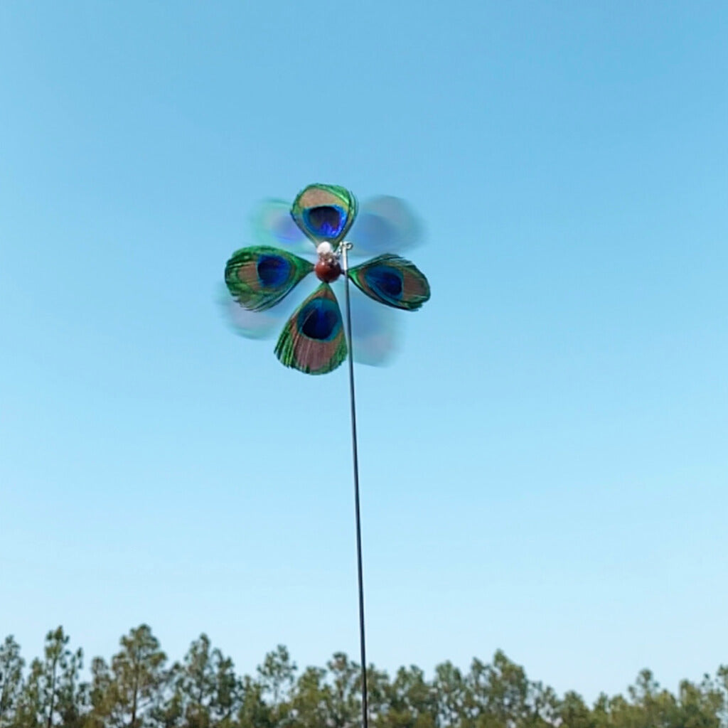 Close-up of a peacock feather propeller spinning in the air.
