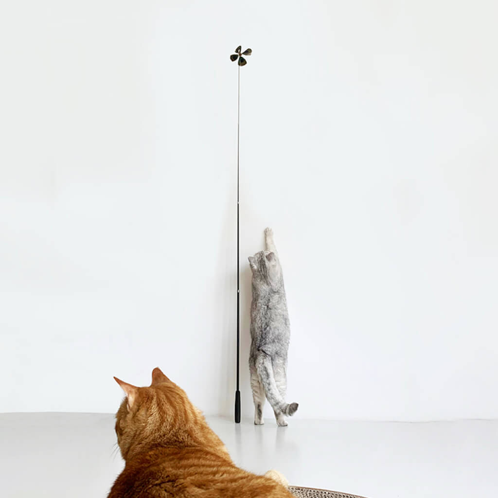 Two cats observing and reaching up towards the interactive feather wand toy.