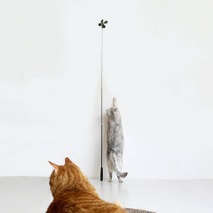 Two cats observing and reaching up towards the interactive feather wand toy.