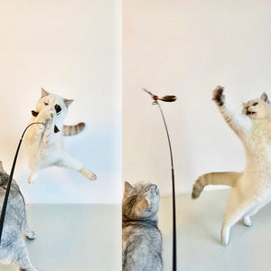 Two cats playing with the interactive cat wand toy in motion.