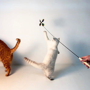 Cat jumping and playing with the spinning feather teaser.