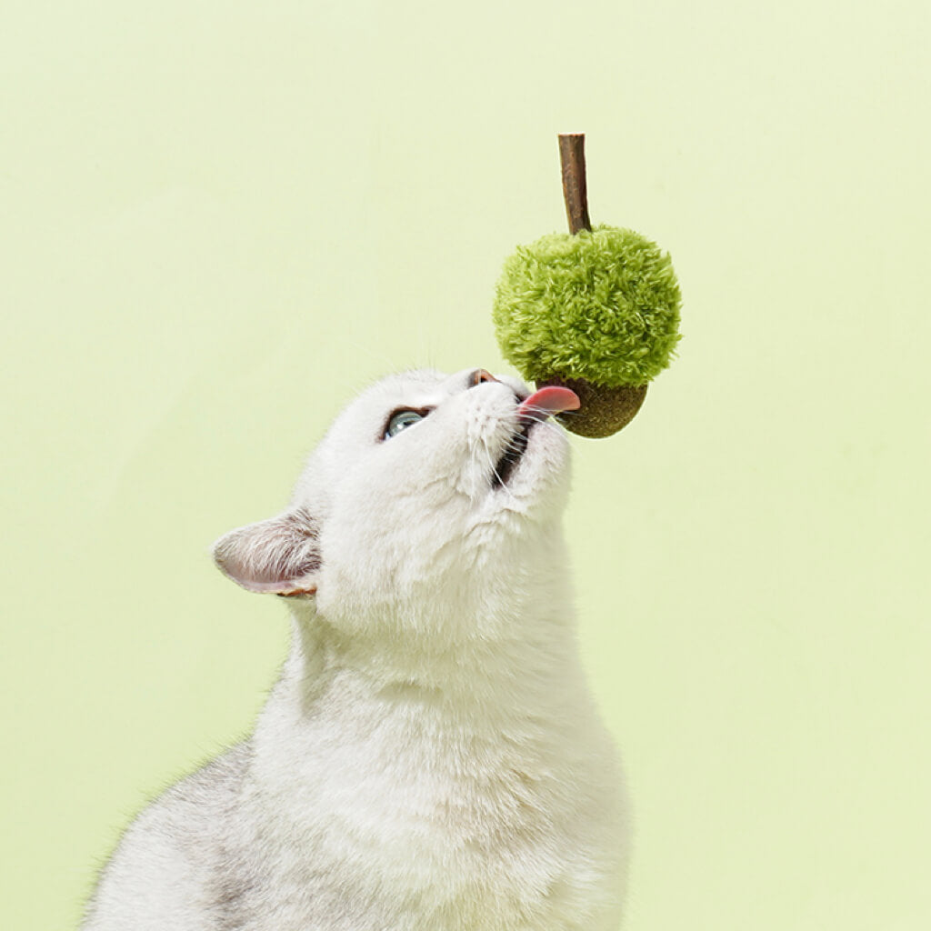 White cat licking a ZEZE catnip acorn toy with matatabi stick on soft green background.