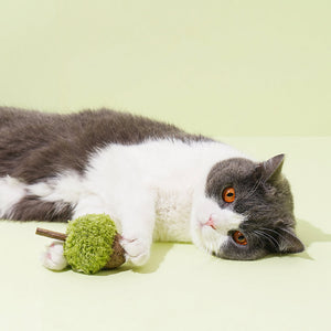 Black and white cat cuddling a plush acorn-shaped catnip toy by ZEZE.