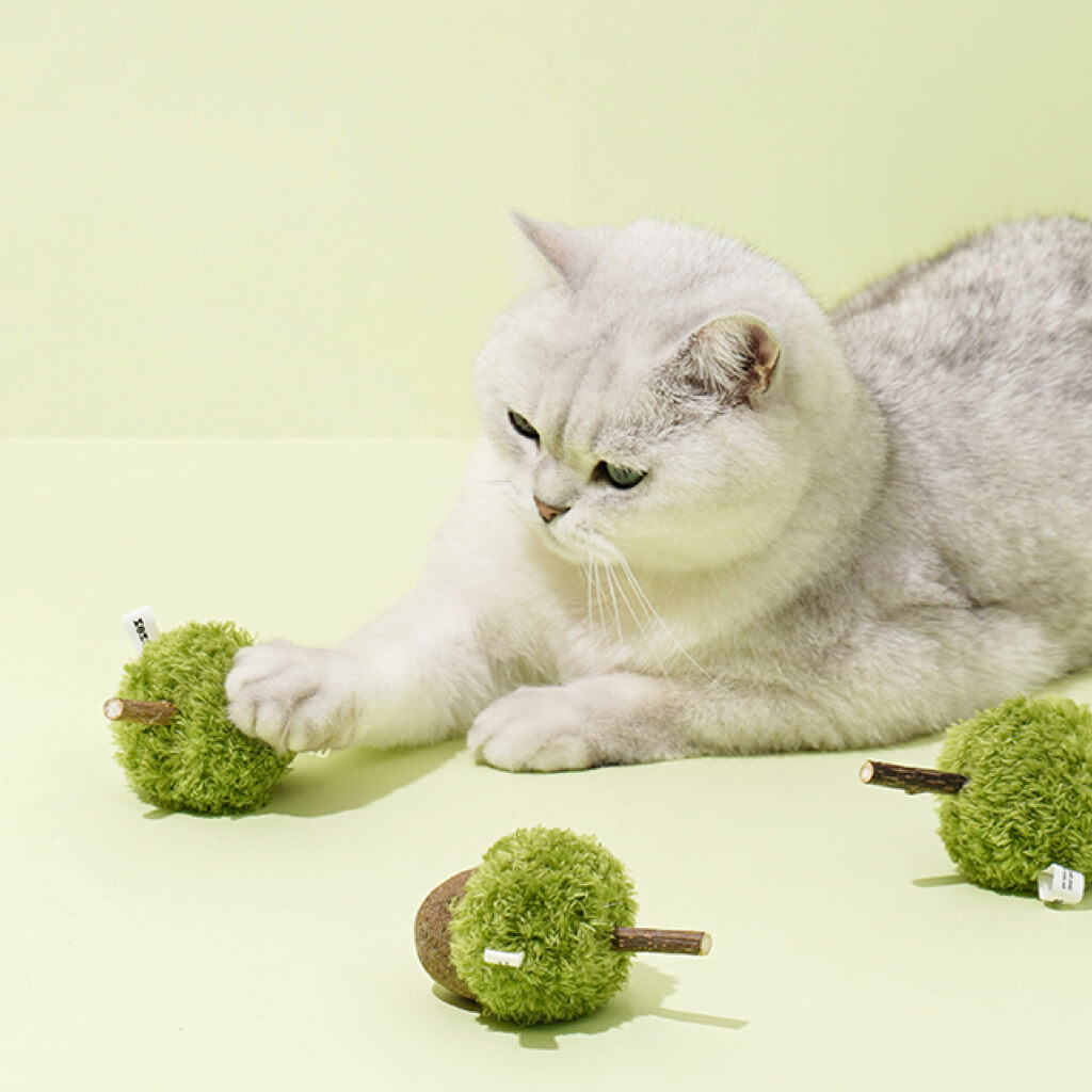 Cat pawing ZEZE catnip acorn toy, promoting interactive indoor cat play.