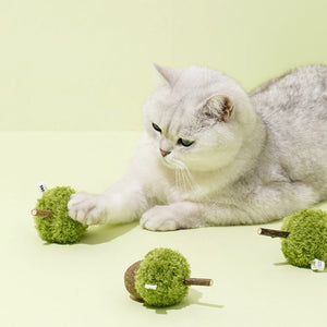 Cat pawing ZEZE catnip acorn toy, promoting interactive indoor cat play.