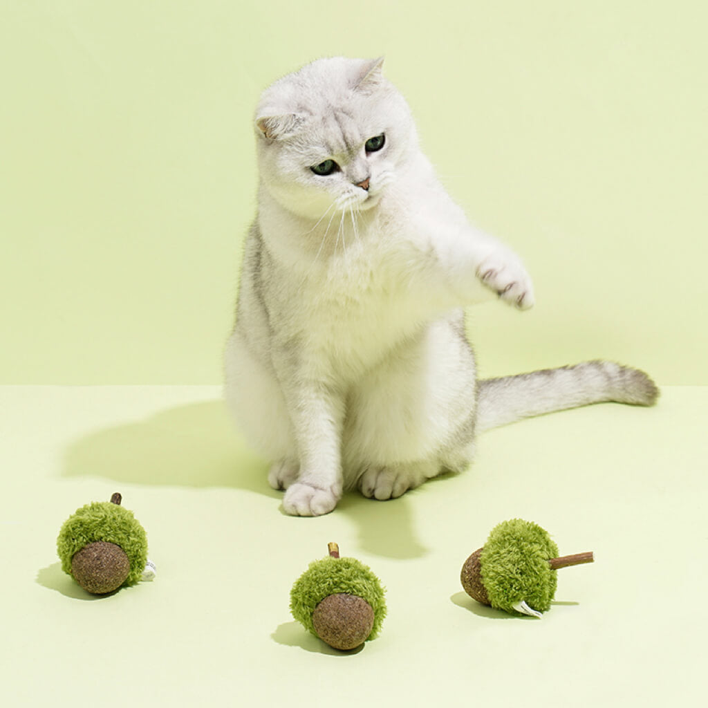 White cat playing with multiple ZEZE acorn cat toys in an interactive session.