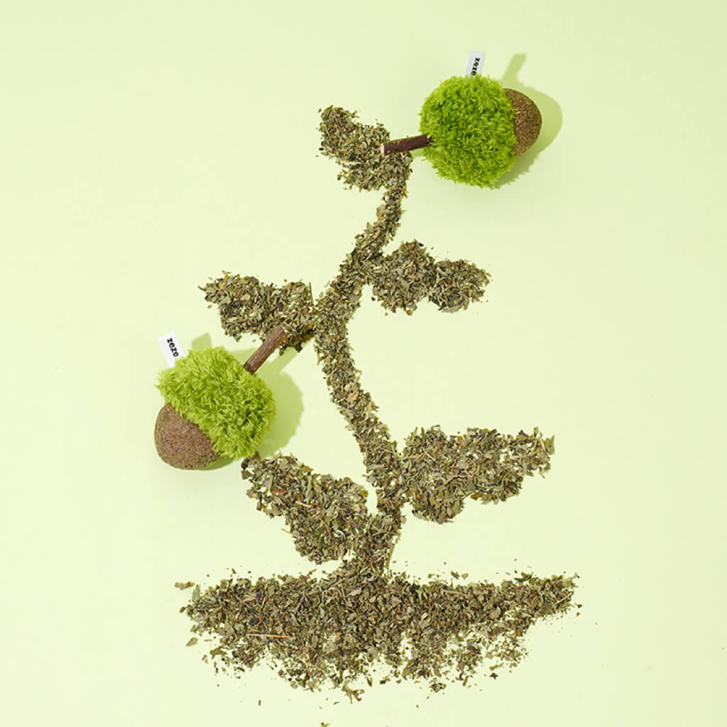 Catnip acorn toys creatively arranged in a leaf shape using loose dried catnip.