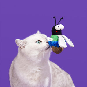 Curious white cat sniffing a stuffed fly toy enriched with catnip for stimulation and comfort.