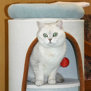 Playful cat lounging inside double-deck cat hideout with soft cushion and red hanging ball.