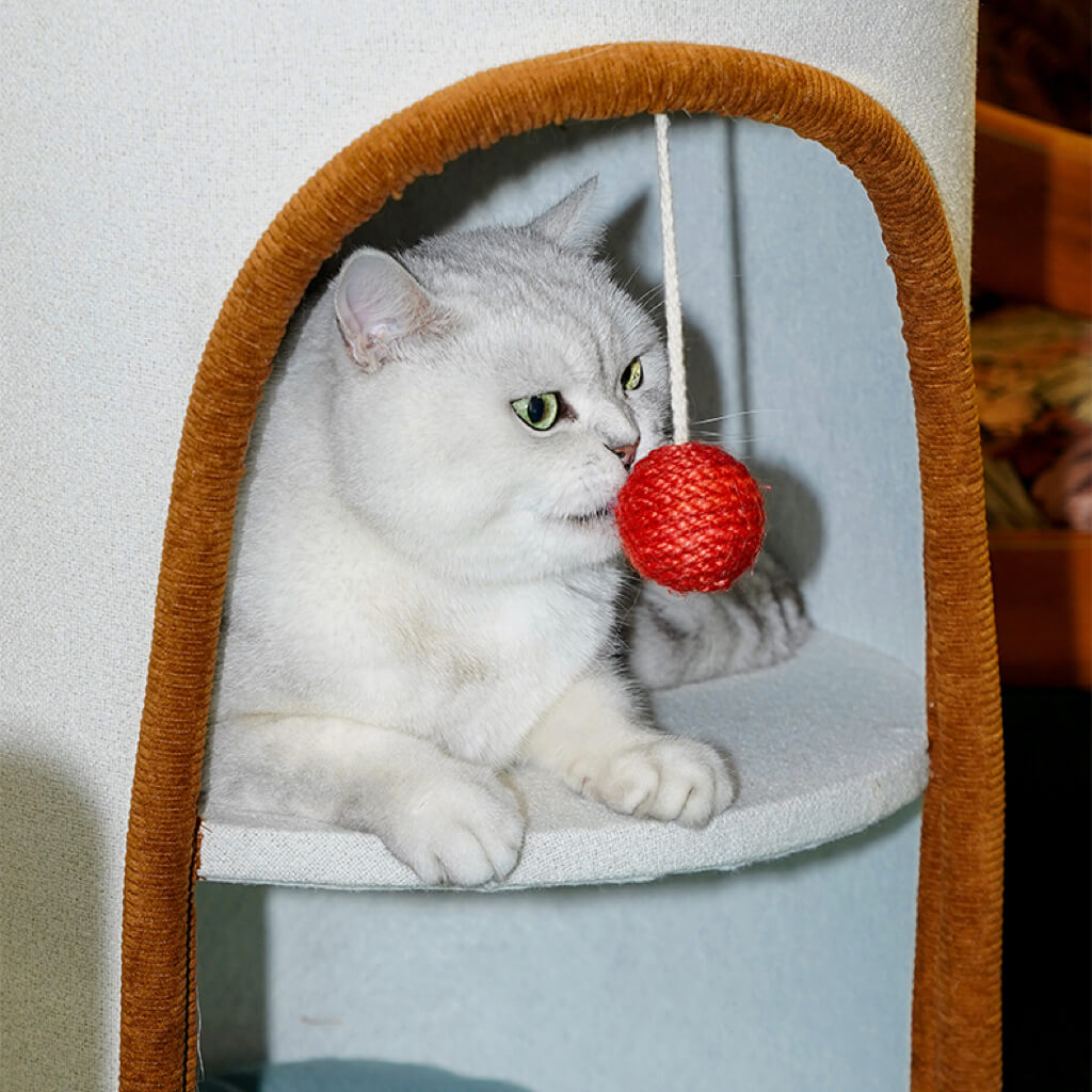 White cat sitting inside cylindrical cat condo with trendy fabric and top bolster bed.