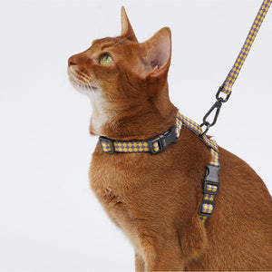 Side view of cat wearing ZEZE Everyday Walks Harness Set in yellow and purple check pattern.