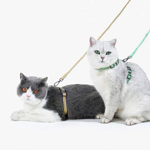 Two cats showcasing yellow and green ZEZE harnesses with matching leashes, ideal for daily walks.