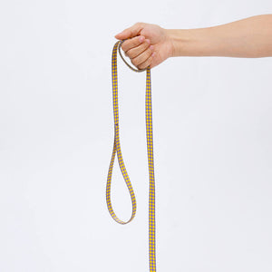 Close-up of ZEZE yellow and purple checkered leash with ergonomic loop handle.
