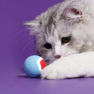 Close-up of cat paw playing with the heart-designed smart toy ball.