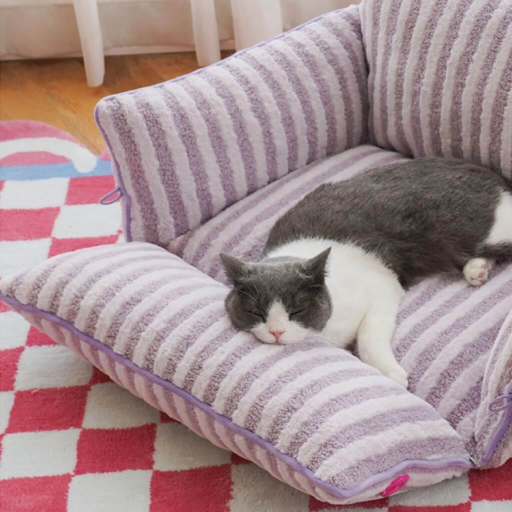 Gray and white cat sleeping on purple striped plush cat bed with soft sides