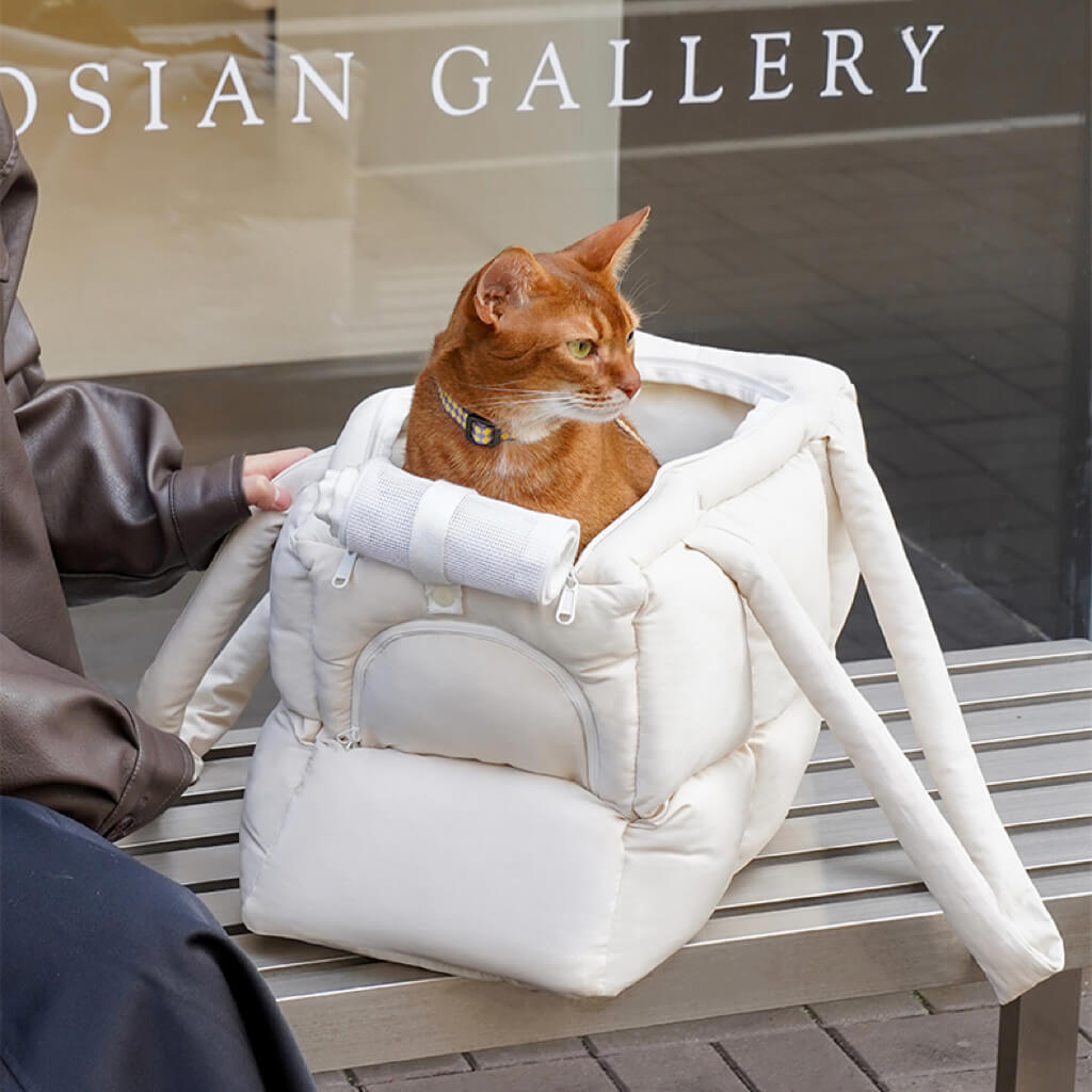 Abyssinian cat sitting comfortably in a stylish white quilted puffer pet carrier, perfect for travel and outings.