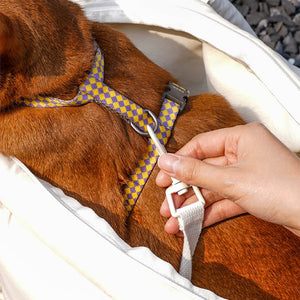 Secure and stylish pet carrier with a built-in safety clip to keep pets safely attached while traveling.