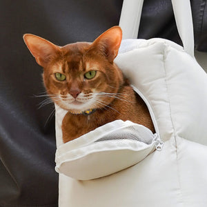 Mesh window pet carrier with a zippered opening, providing ventilation and a secure space for small cats and dogs.