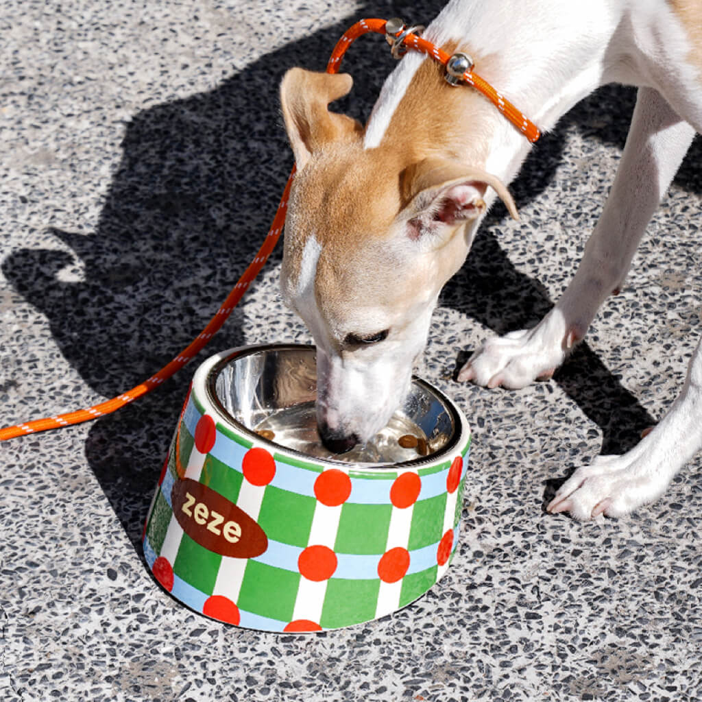 Retro Chrome Pet Bowl – Stylish Elevated Stainless Steel bowl with Non-Slip Base