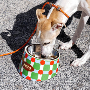 Retro Chrome Pet Bowl – Stylish Elevated Stainless Steel bowl with Non-Slip Base