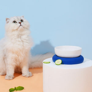 White fluffy cat with a Zeze glazed ceramic pet bowl on a blue silicone base.