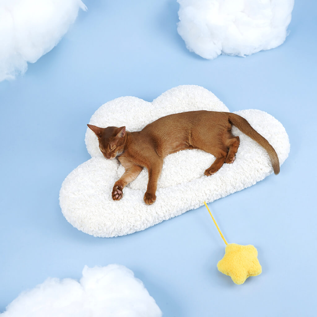 Brown cat comfortably lying on the Soft Cloud Pet Bed, surrounded by fluffy clouds.