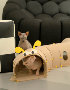 Cat peeking out from inside the beige felt tunnel toy.