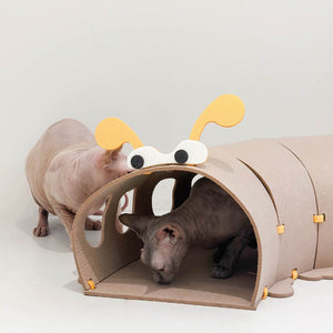 Two hairless cats playing inside the beige section of the felt tunnel.