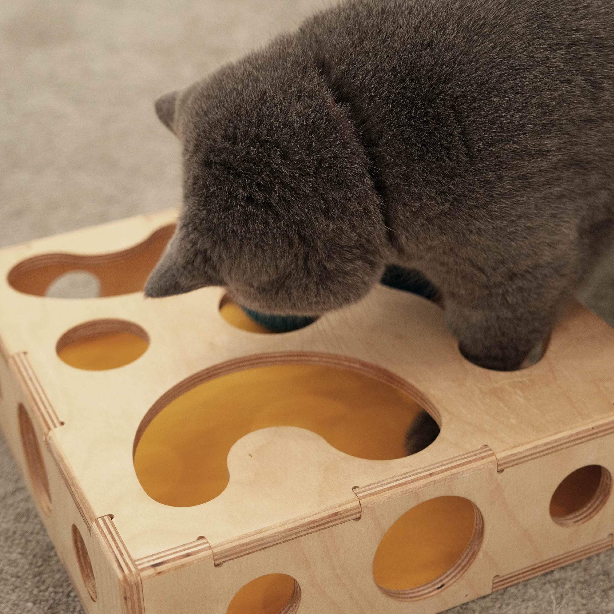 Grey cat engaging with the Stylish Interactive Cat Play Box by pawing the balls inside.