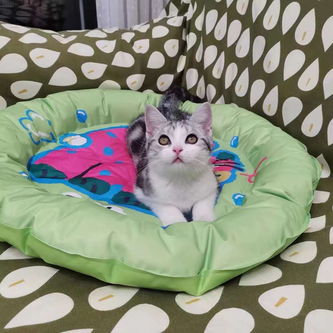 Circular Pet Cooling Bed