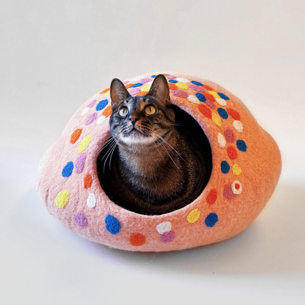 hideaway cat bed