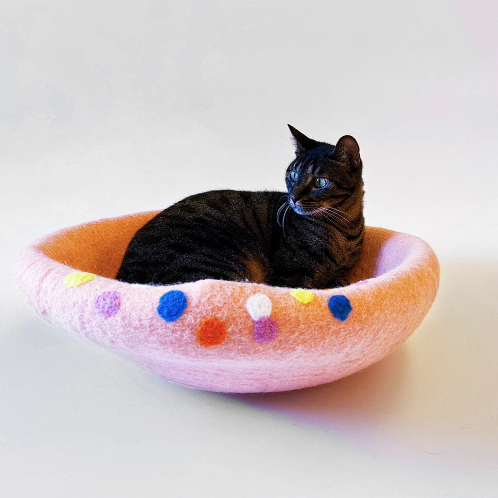 cat lounging in an open felt cat bed with colorful polka dots, flattened into a cozy bowl shape.