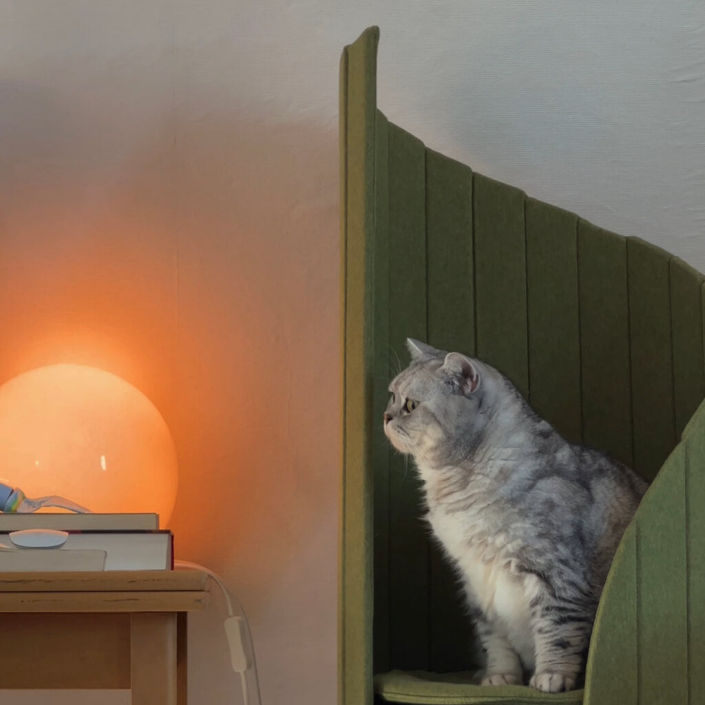Travel Cat Computer System Time Travel Cat Tower – Pewos