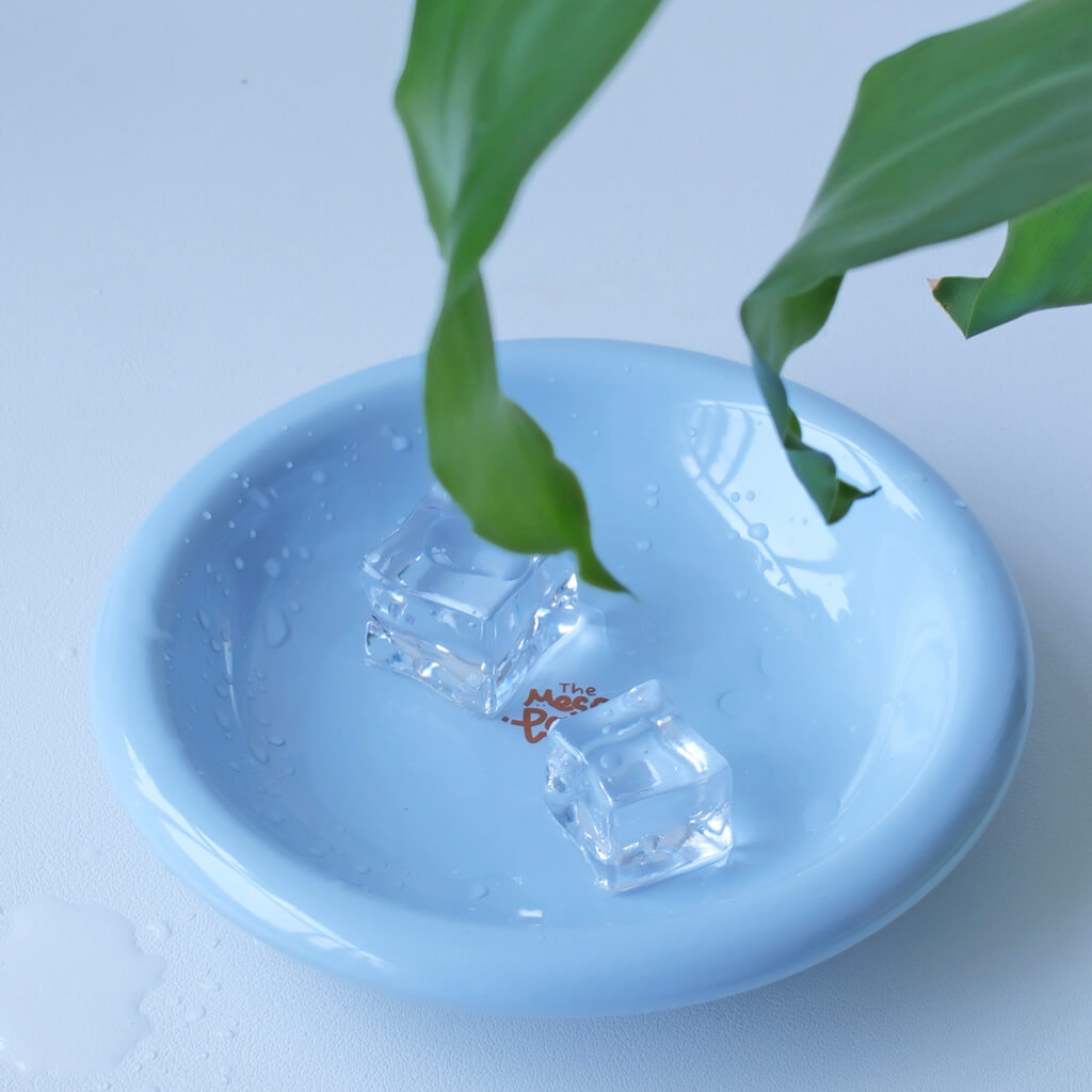 Light blue Messy Paws shallow ceramic pet dish with water droplets and two ice cubes, used as a cat water bowl; smooth, whisker-friendly design.