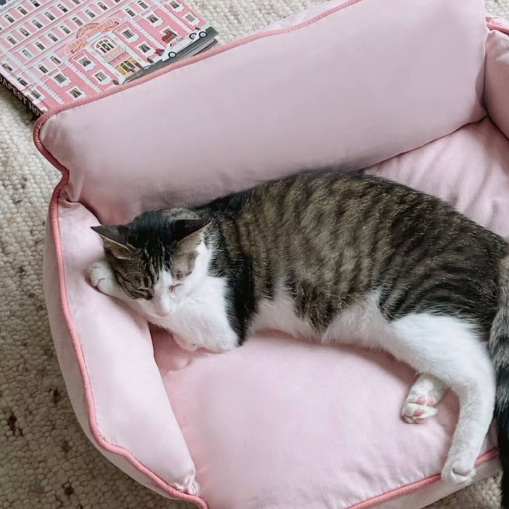 Cozy Pet Sofa Bed - Piped #2 Strawberry + #5 Dora’s Wall offering luxurious comfort to pets.