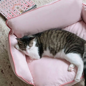 Cozy Pet Sofa Bed - Piped #2 Strawberry + #5 Dora’s Wall offering luxurious comfort to pets.